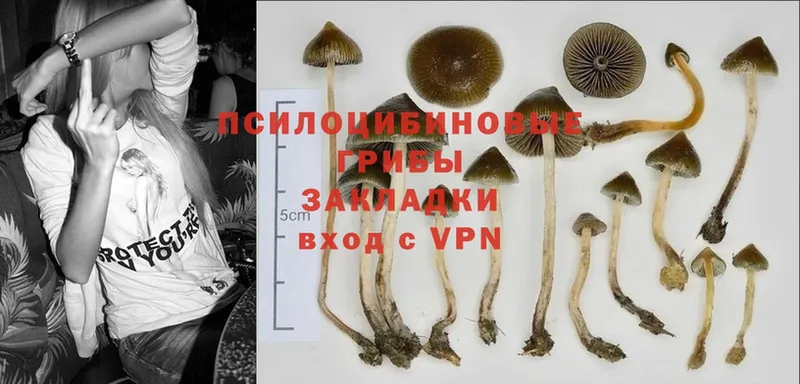 Галлюциногенные грибы Cubensis  наркошоп  МЕГА как зайти  Выкса 